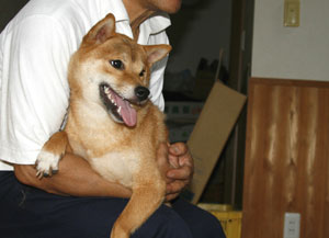 Ponta's sister