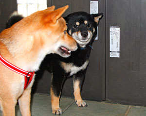 Ponta with his Mother