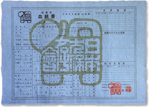 a thumbnail of Ponta's pedigree certificate